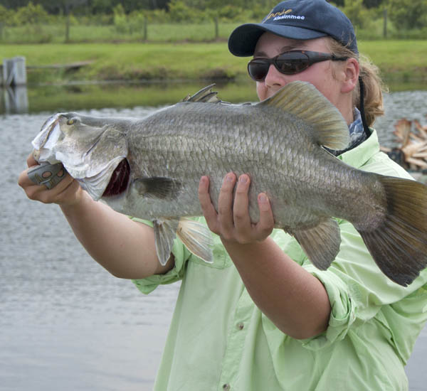 Barramundi sind hervorragende Zielfische für den Fliegenfischer